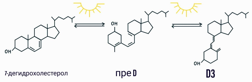 Витамин D и с чем его едят